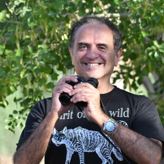 Ahmed Riad